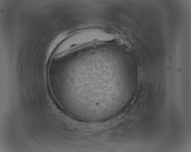 X0000077320006200611031717