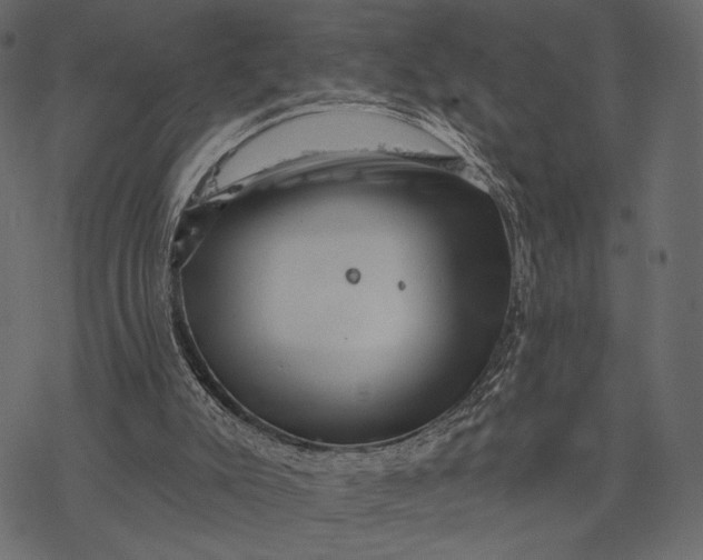 X0000077320007200611031717