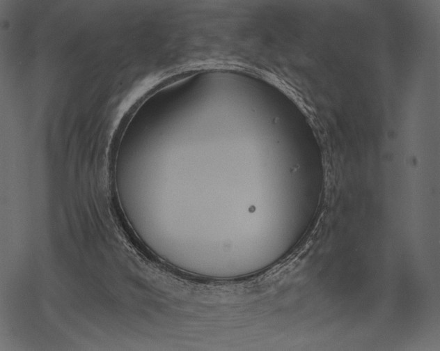 X0000077320008200611031717