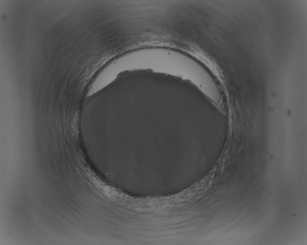 X0000077320009200611031717