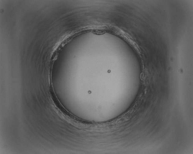 X0000077320011200611031717