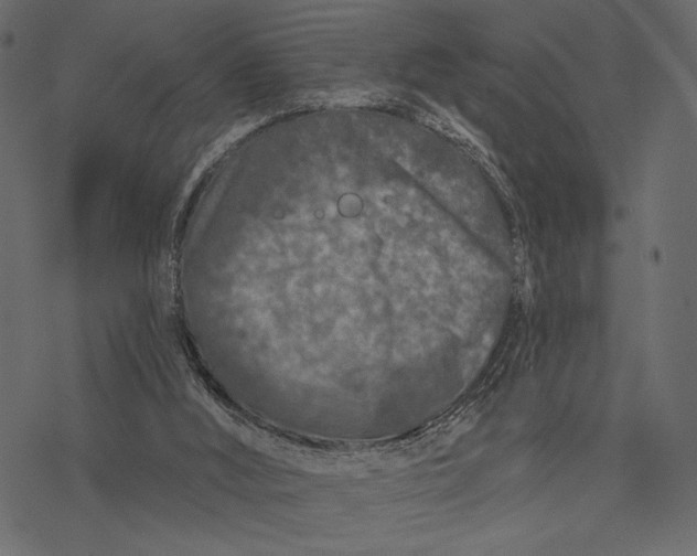 X0000077320012200611031717