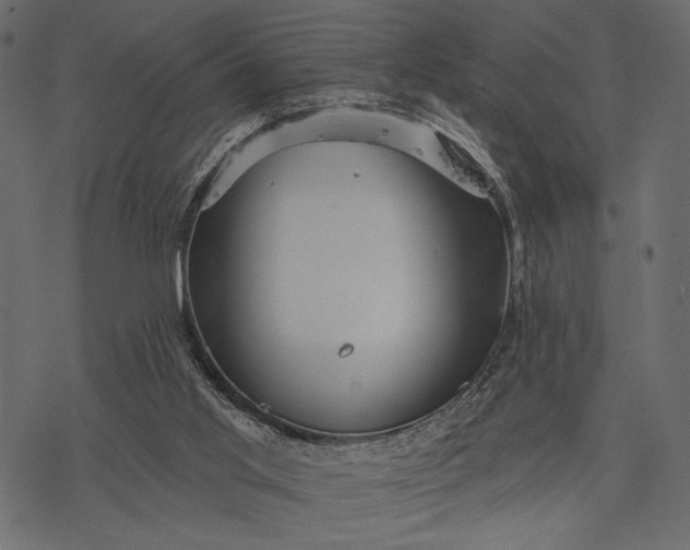 X0000077320013200611031717