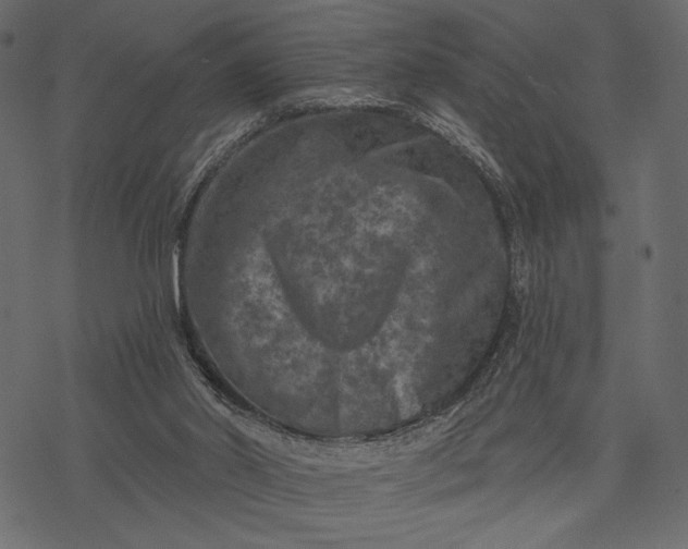 X0000077320014200611031717