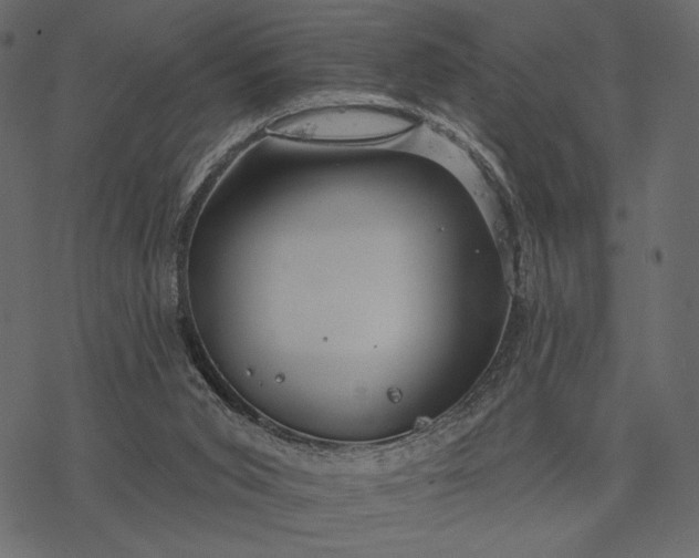 X0000077320015200611031717