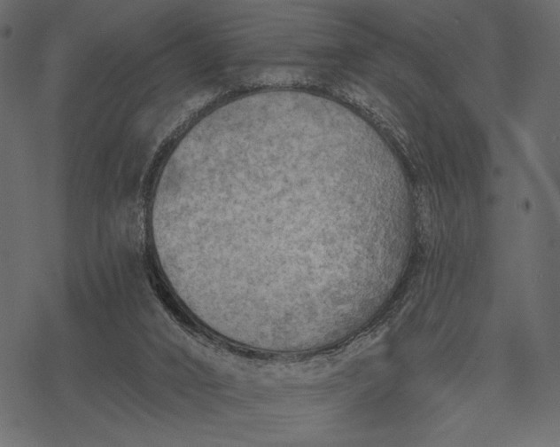 X0000077320016200611031717