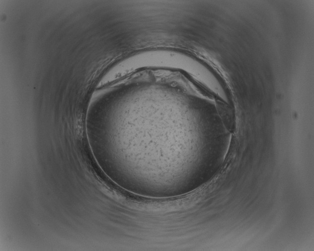 X0000077320017200611031717