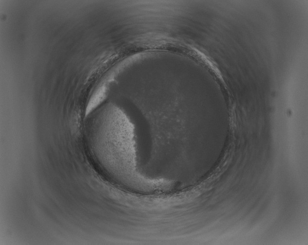 X0000077320018200611031717