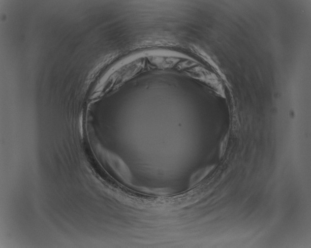 X0000077320019200611031717