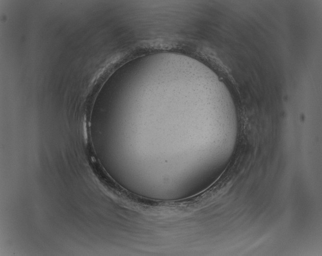 X0000077320020200611031717