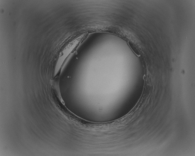 X0000077320021200611031717