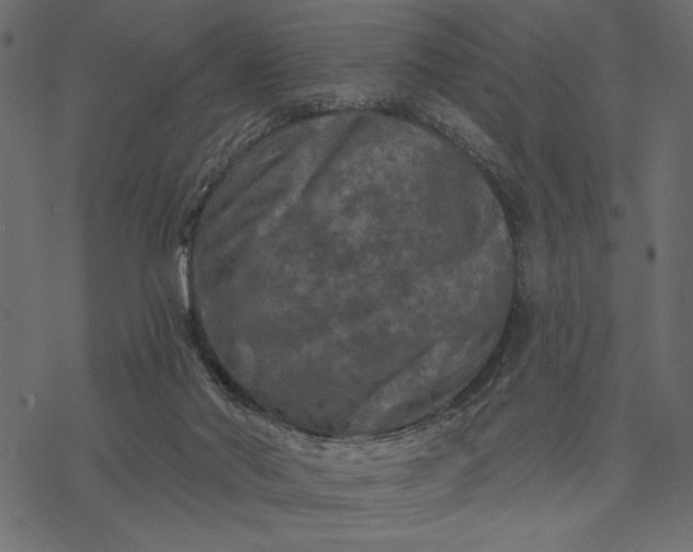 X0000077320022200611031717