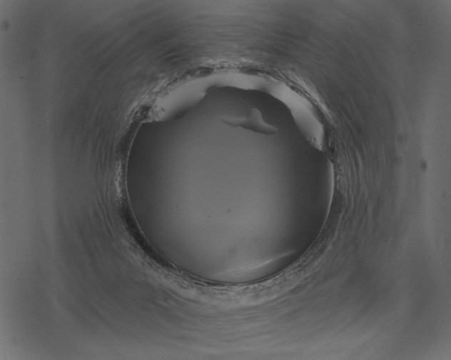 X0000077320023200611031717