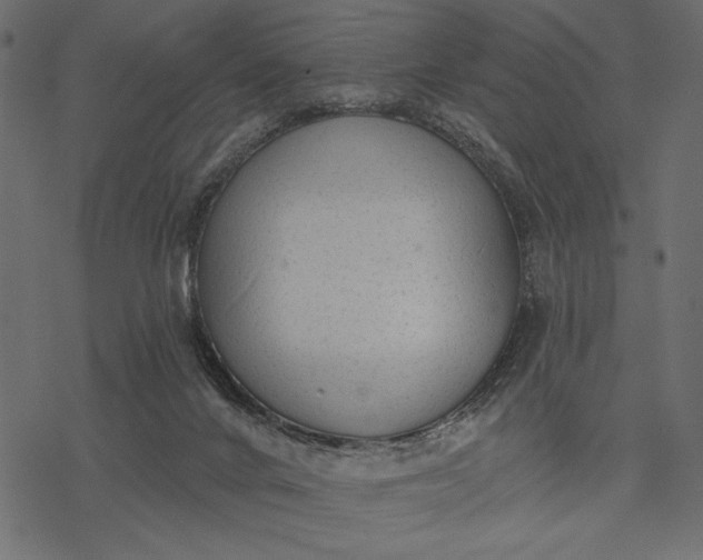 X0000077320024200611031717