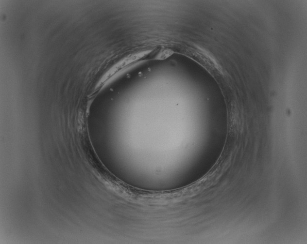 X0000077320025200611031717