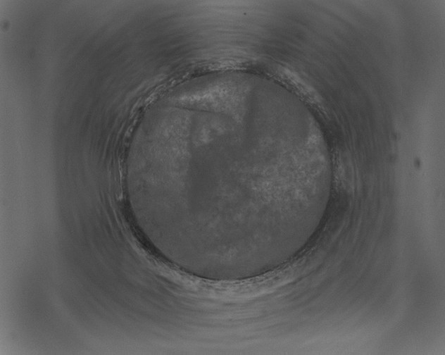 X0000077320026200611031717