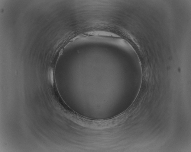 X0000077320027200611031717