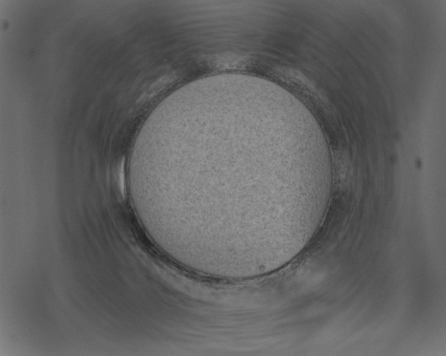 X0000077320028200611031717