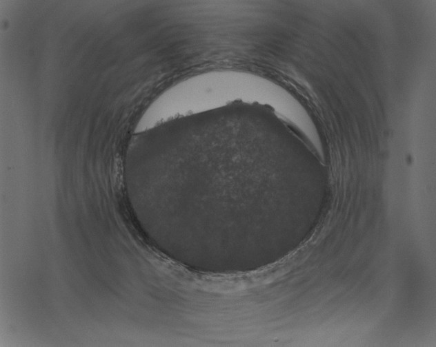 X0000077320029200611031717