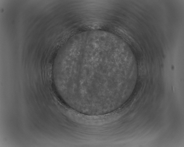 X0000077320030200611031717