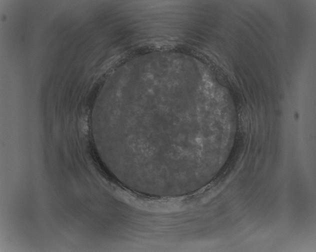 X0000077320032200611031716