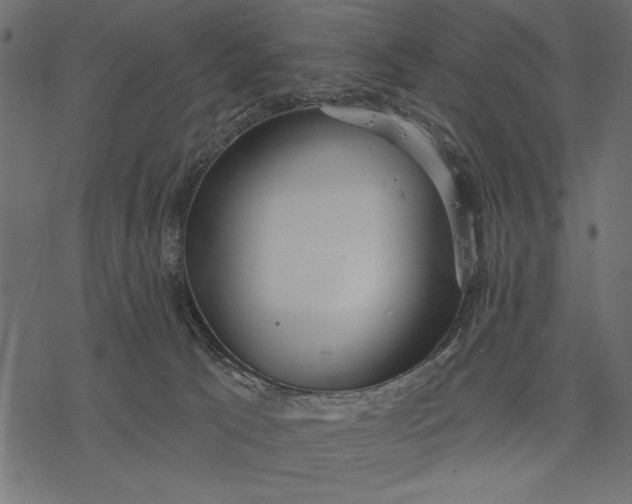 X0000077320033200611031716