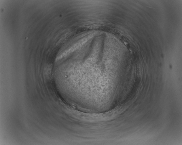 X0000077320034200611031716