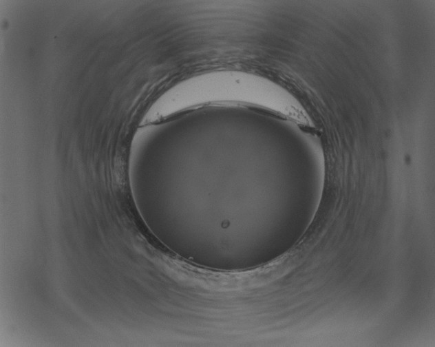 X0000077320035200611031716