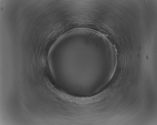 X0000077320039200611031716