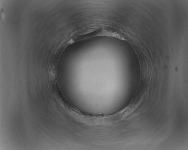 X0000077320040200611031716