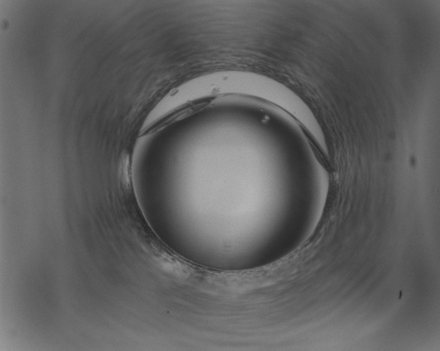 X0000077320041200611031716