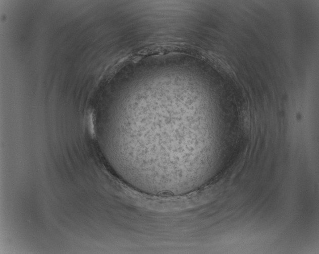 X0000077320042200611031716