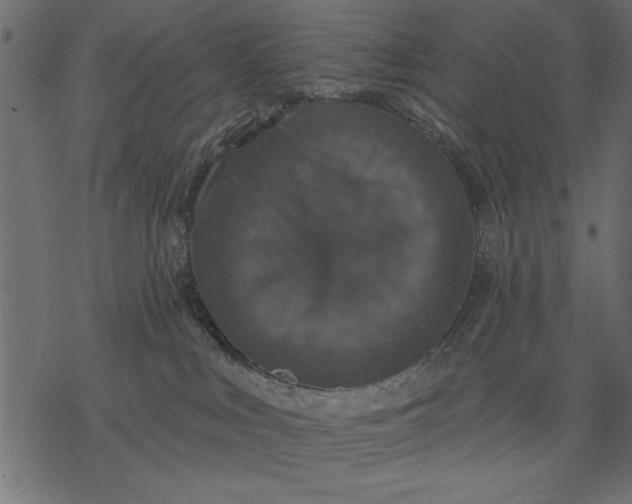 X0000077320043200611031716