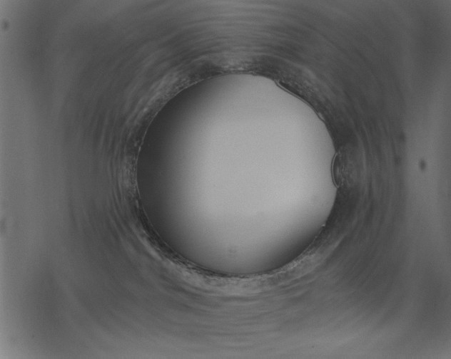 X0000077320044200611031716