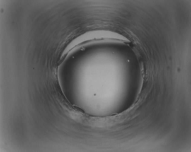 X0000077320045200611031716