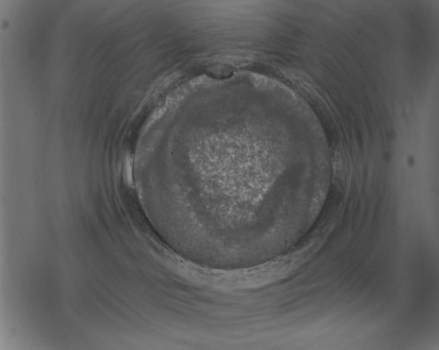 X0000077320046200611031716