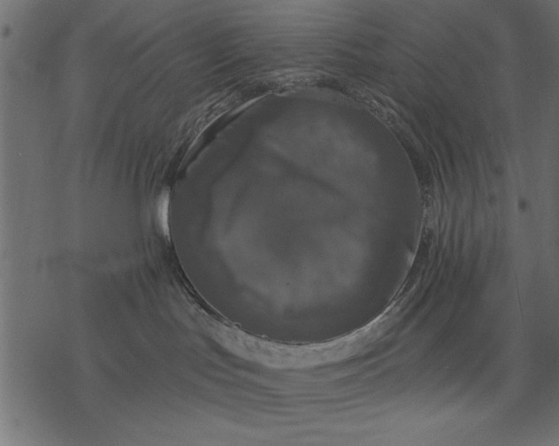 X0000077320047200611031716