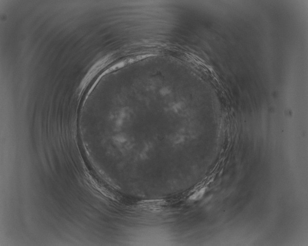 X0000077320051200611031715