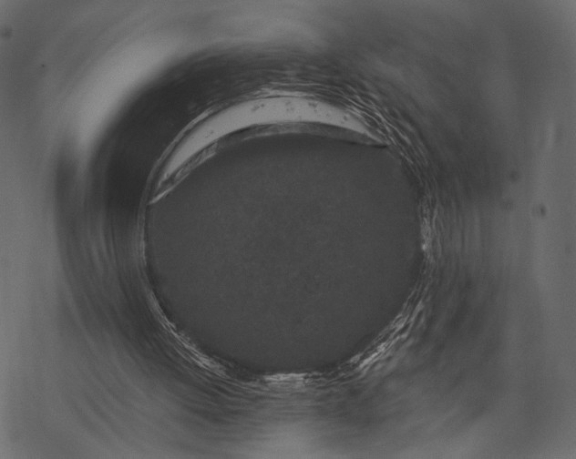 X0000077320052200611031715