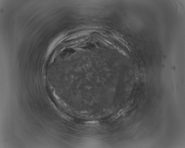 X0000077320053200611031715