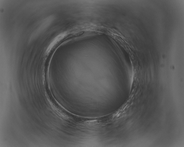 X0000077320054200611031716