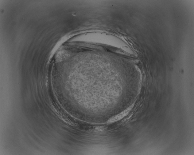 X0000077320056200611031716