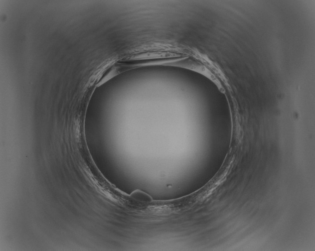 X0000077320057200611031716