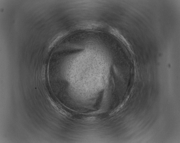 X0000077320058200611031716