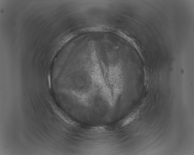 X0000077320061200611031716