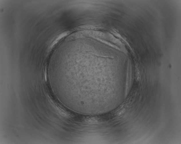 X0000077320062200611031716