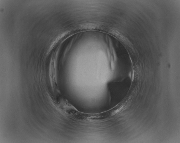 X0000077320064200611031716