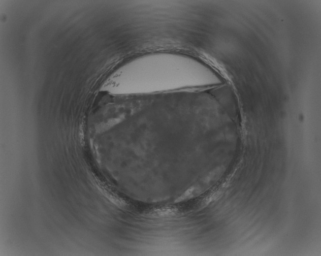 X0000077320065200611031716