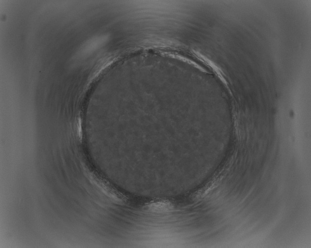 X0000077320067200611031716