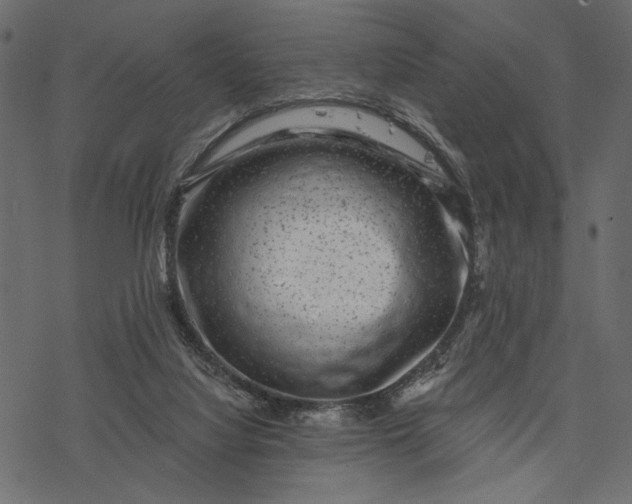 X0000077320068200611031716